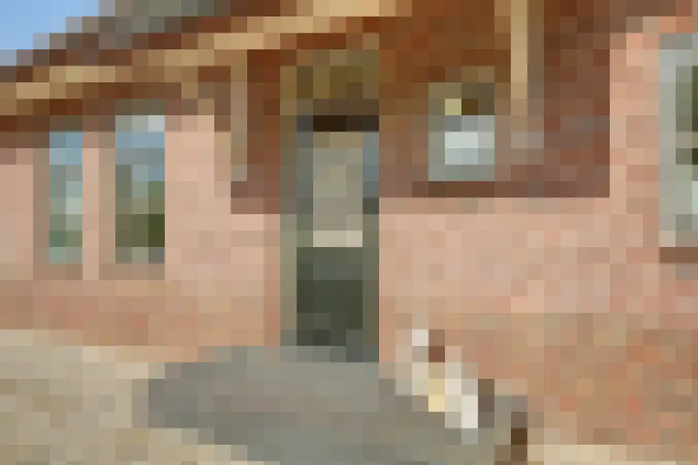 Benedenberg 99 a Bergambacht thumbnail 7