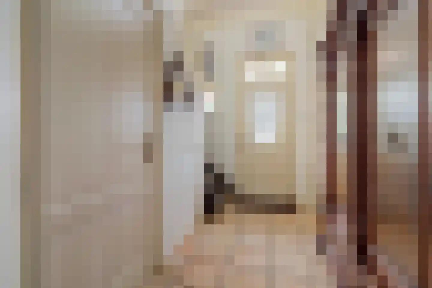 Benedenberg 99 a Bergambacht thumbnail 8