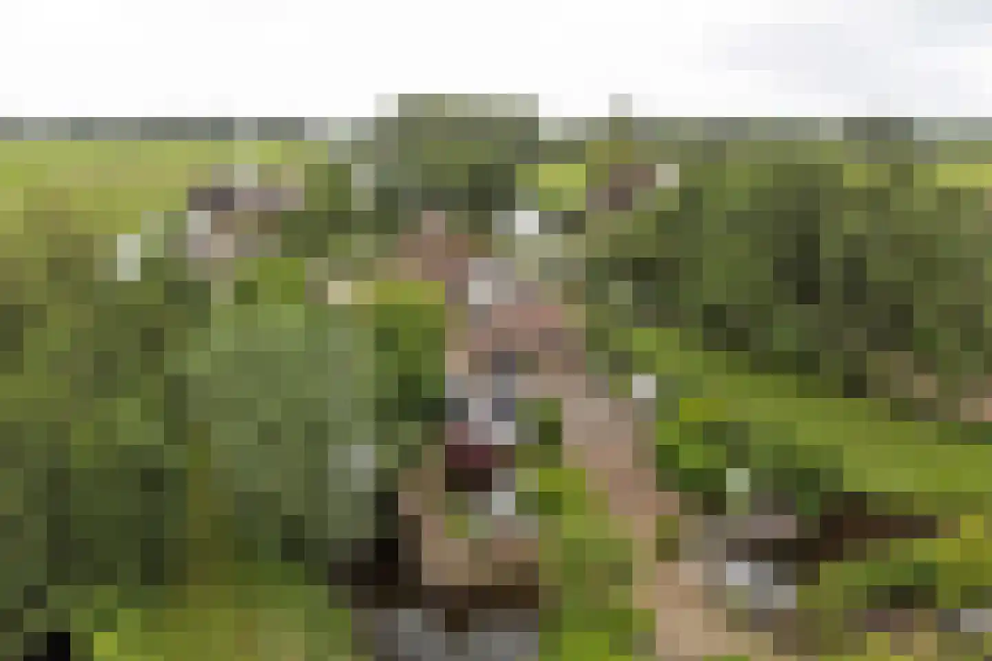 Benedenberg 99 a Bergambacht thumbnail 81