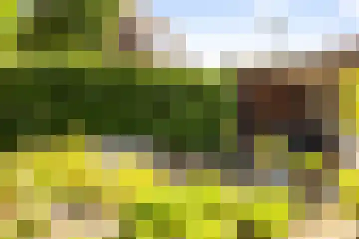 Benedendijk 60 Olst thumbnail 29