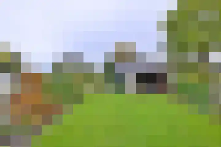 Benedendijk 82 Olst thumbnail 13