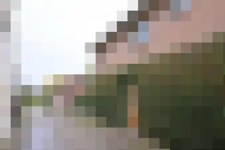 Benedendijk 82 Olst thumbnail 4