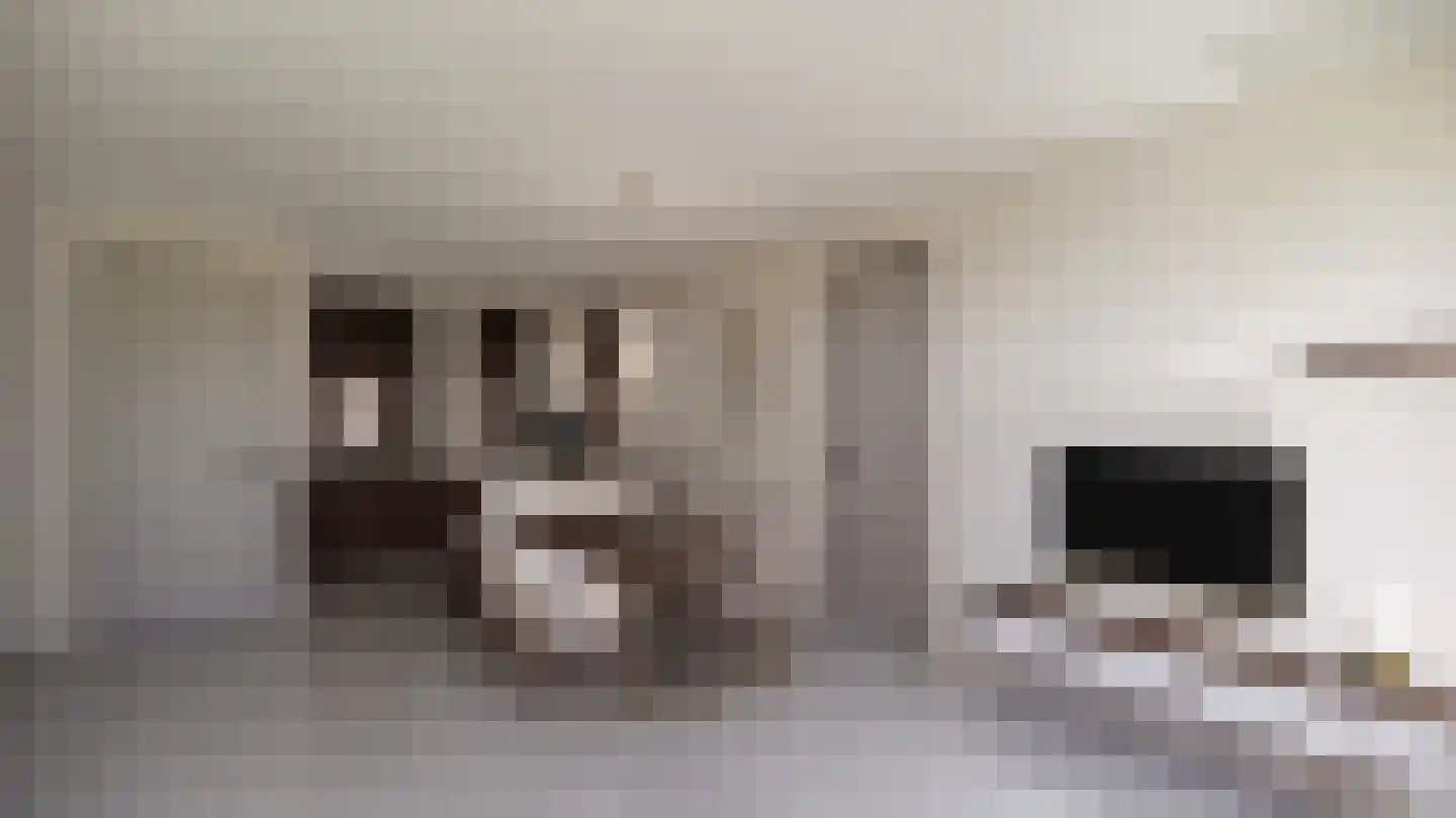 Benedendorpsstraat 1 Zeddam thumbnail 7