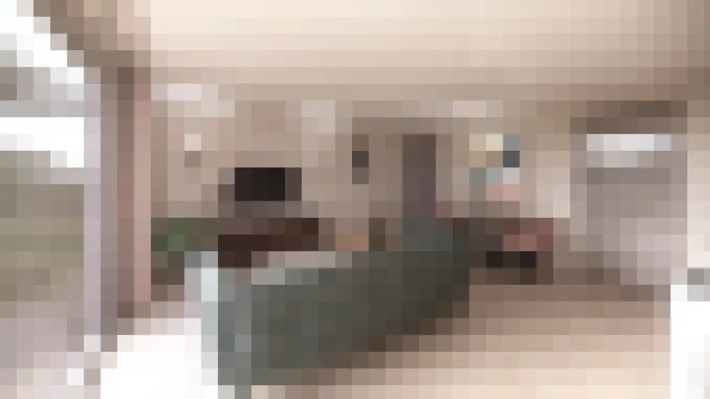Benedendorpsstraat 15 Zeddam thumbnail 7
