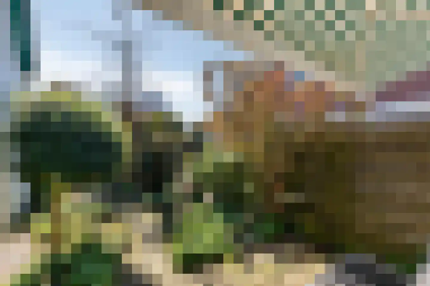 Benedendorpsstraat 26 Zeddam thumbnail 10