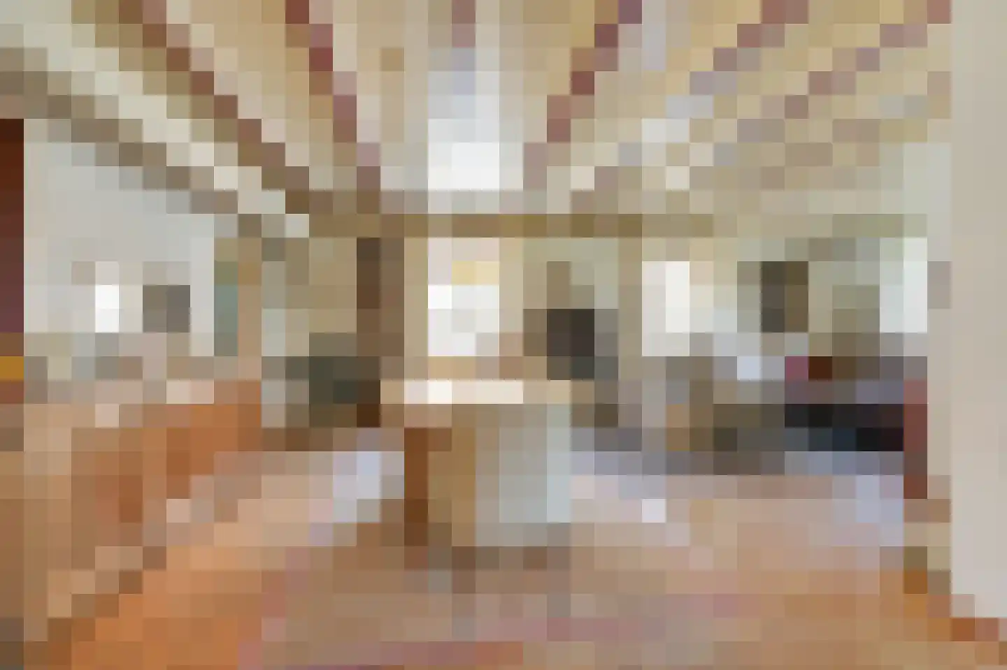 Benedendorpsstraat 26 Zeddam thumbnail 17