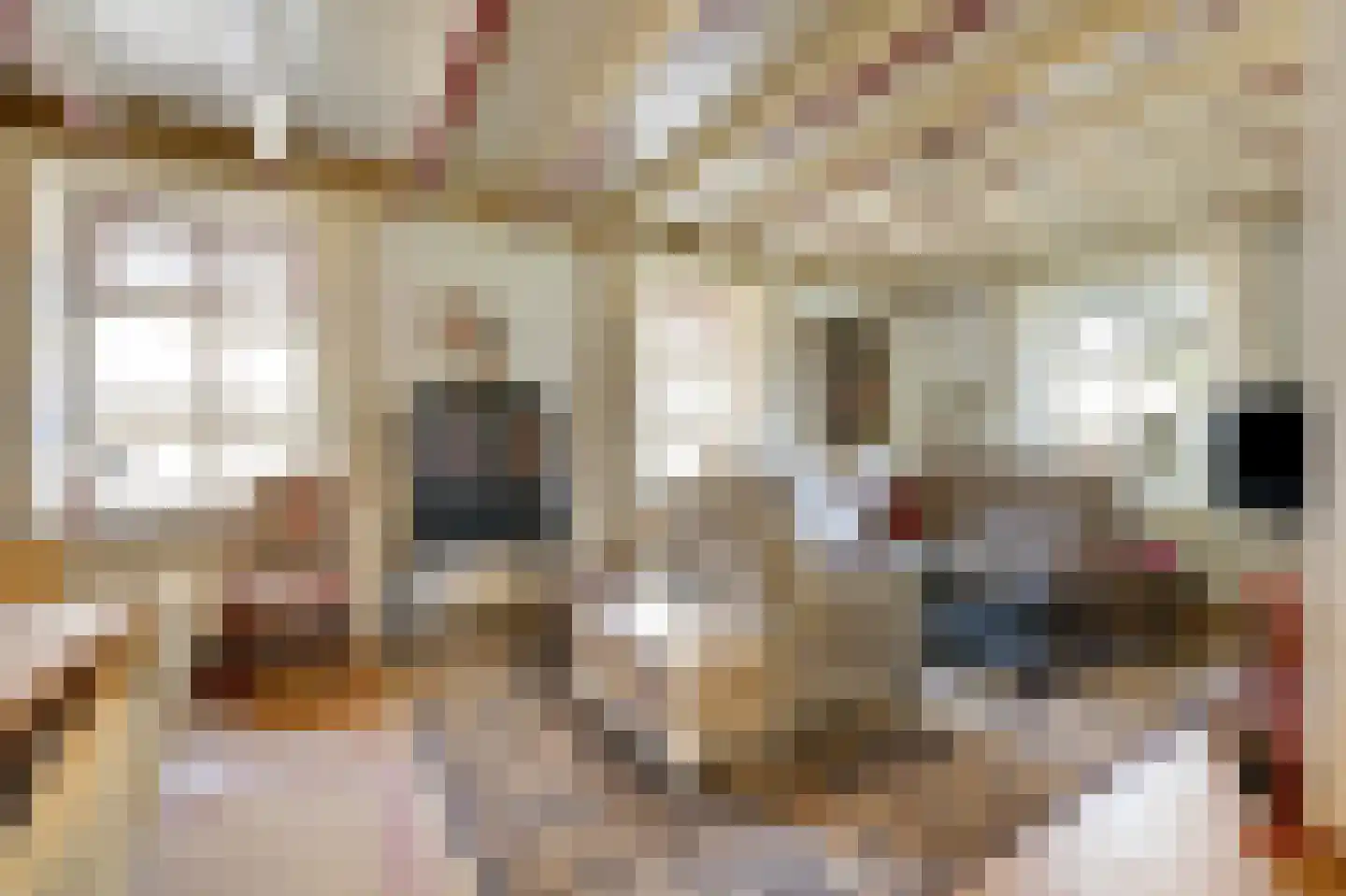 Benedendorpsstraat 26 Zeddam thumbnail 18