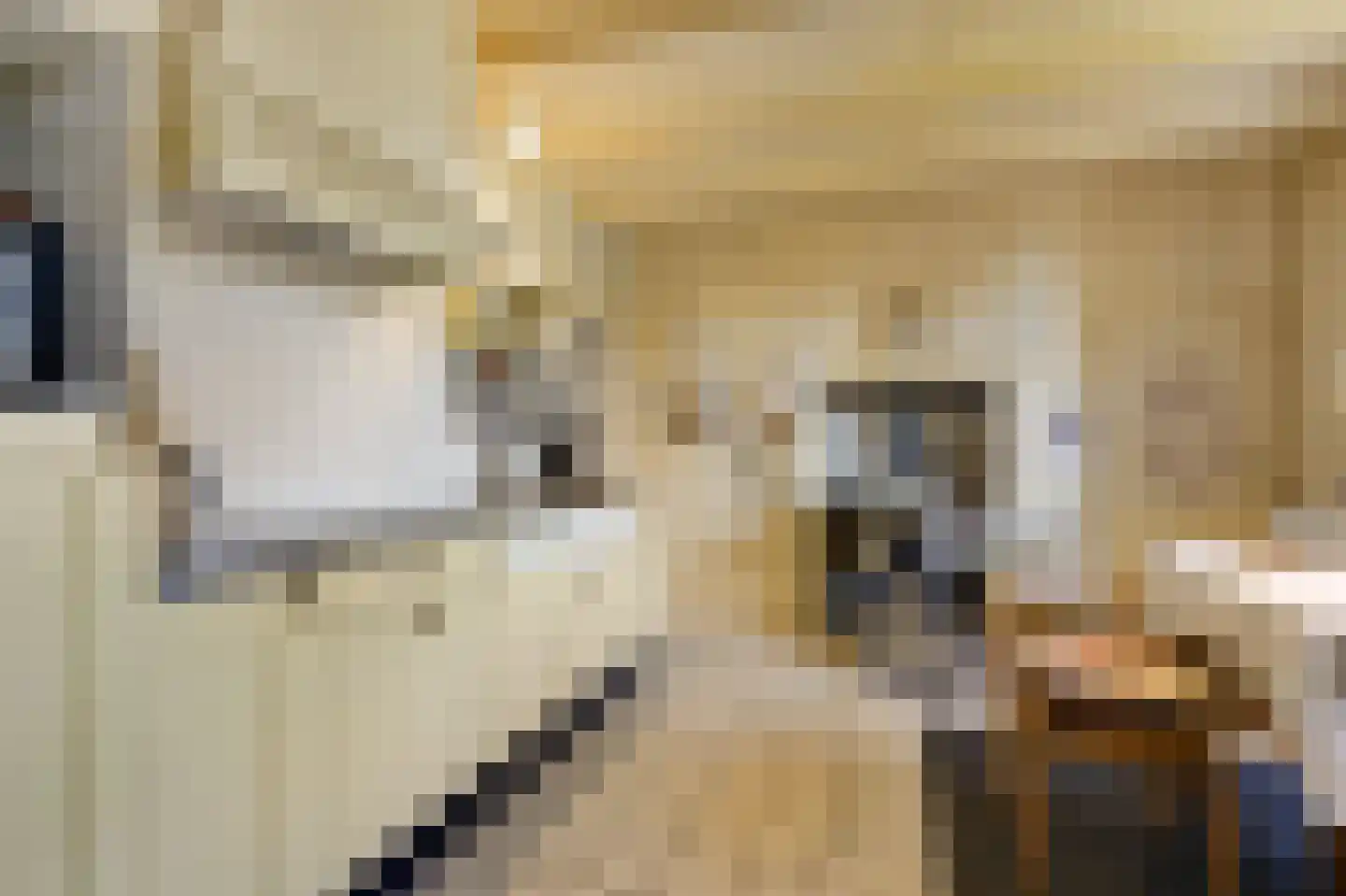 Benedendorpsstraat 26 Zeddam thumbnail 23