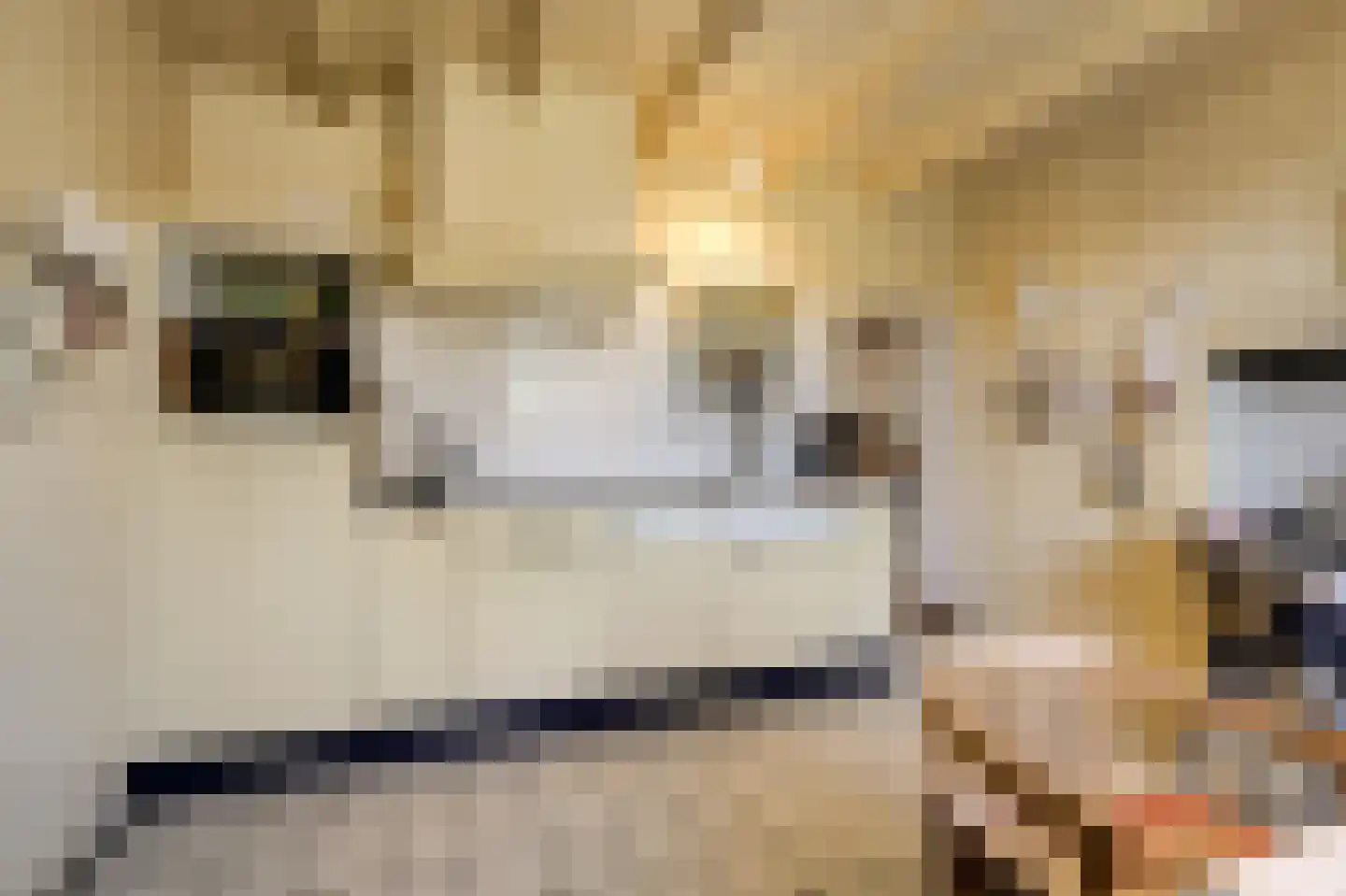 Benedendorpsstraat 26 Zeddam thumbnail 24