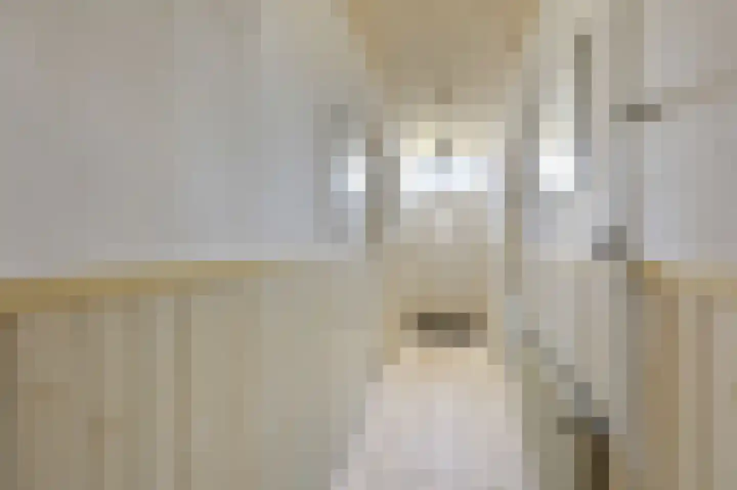 Benedendorpsstraat 26 Zeddam thumbnail 34