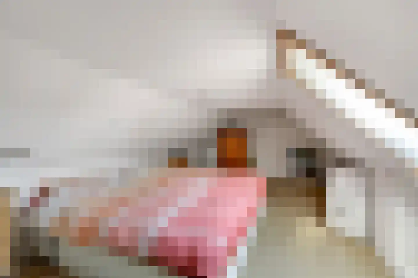 Benedendorpsstraat 26 Zeddam thumbnail 38
