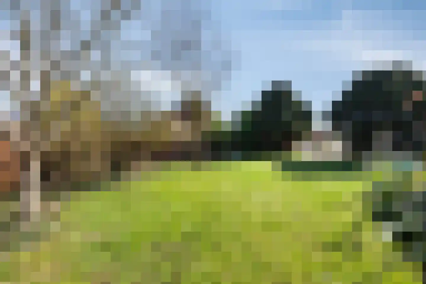 Benedendorpsstraat 26 Zeddam thumbnail 4