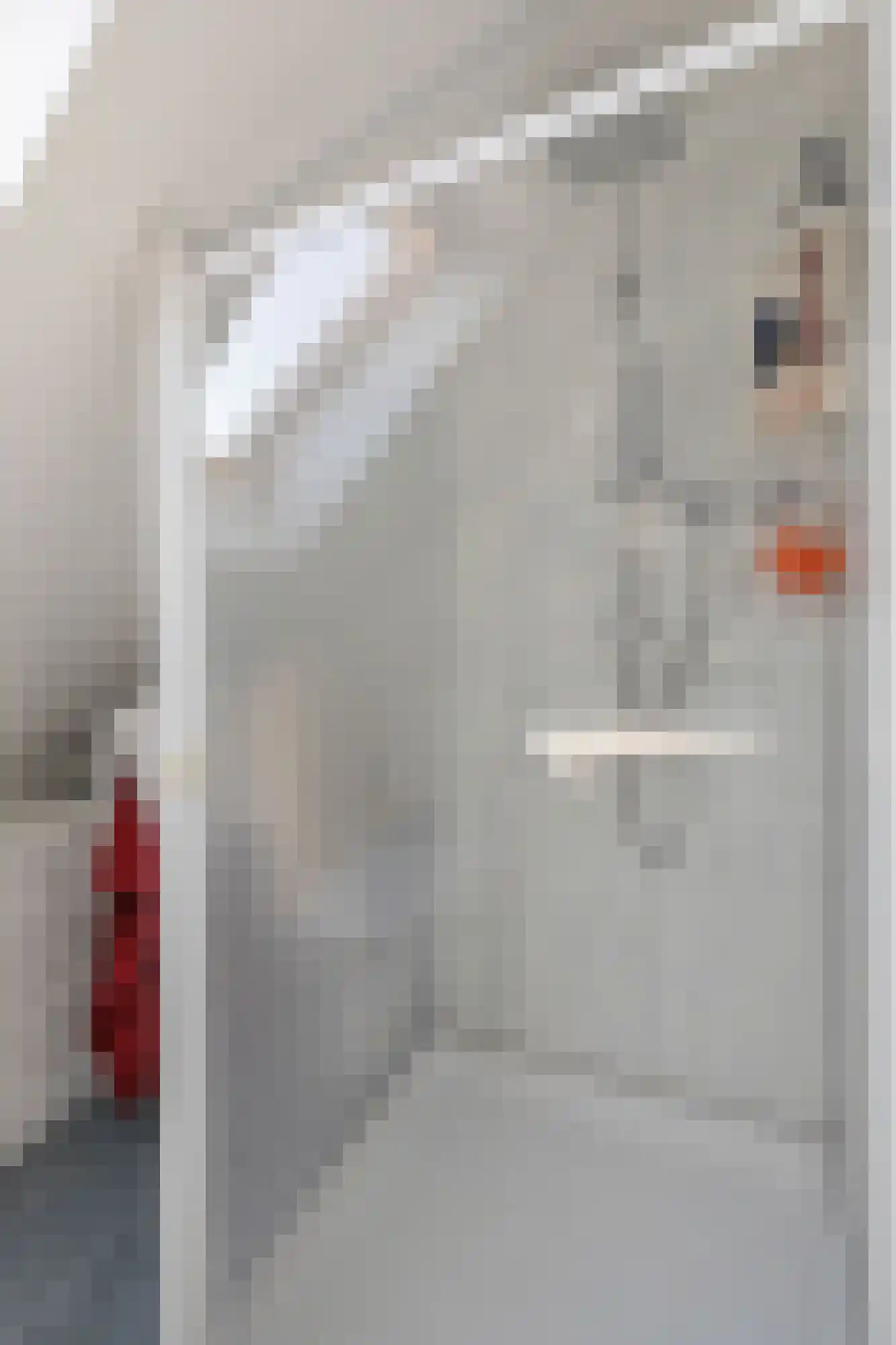 Benedendorpsstraat 26 Zeddam thumbnail 45
