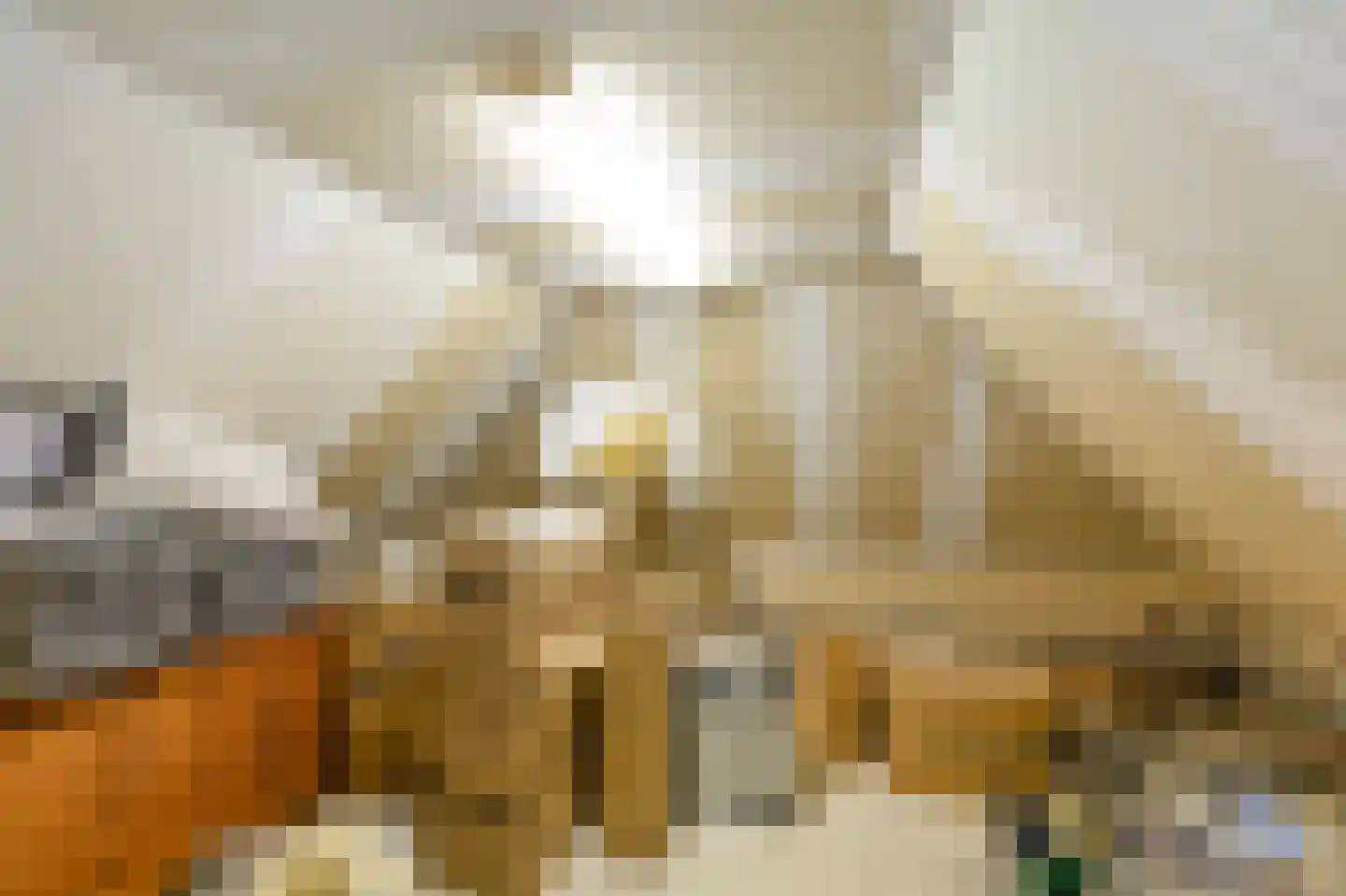 Benedendorpsstraat 26 Zeddam thumbnail 50