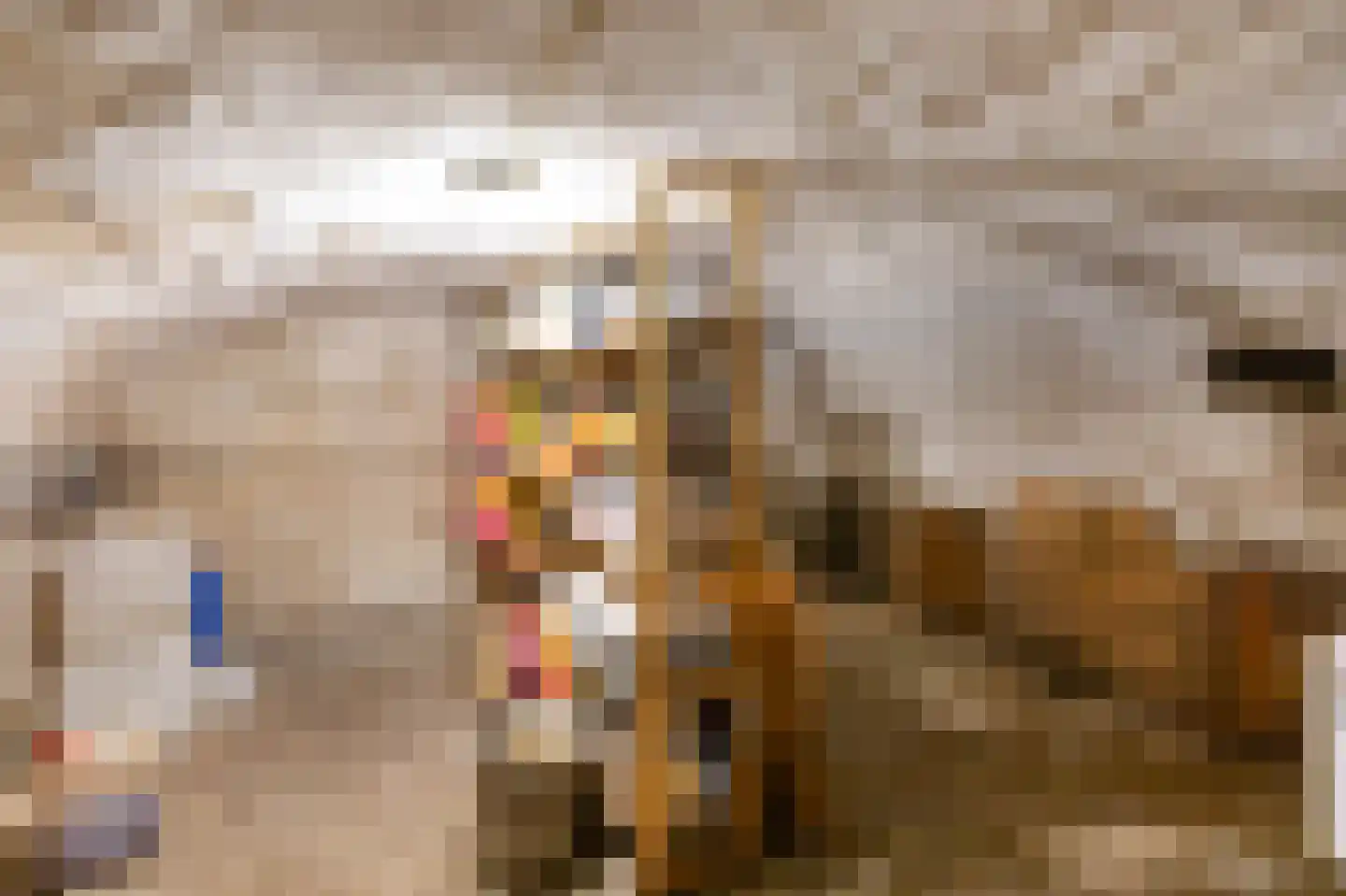 Benedendorpsstraat 26 Zeddam thumbnail 51