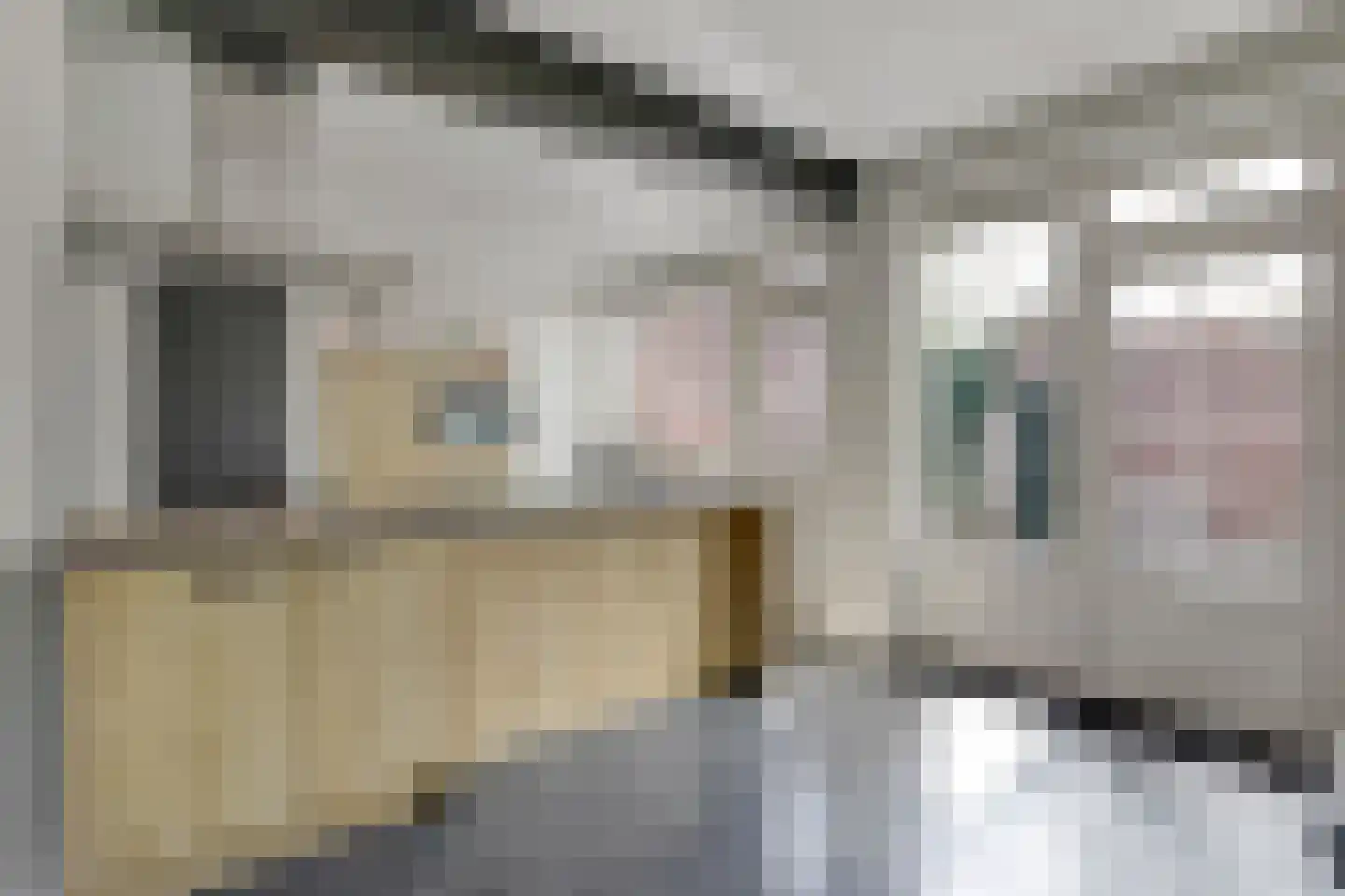 Benedendorpsstraat 28 a Zeddam thumbnail 15