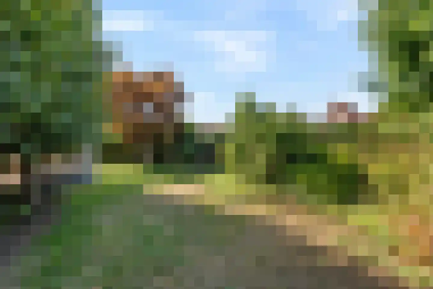 Benedendorpsstraat 28 a Zeddam thumbnail 43