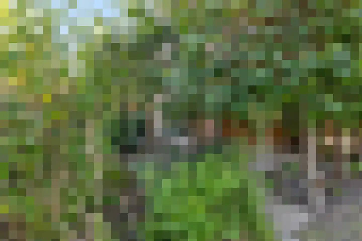 Benedendorpsstraat 28 a Zeddam thumbnail 44