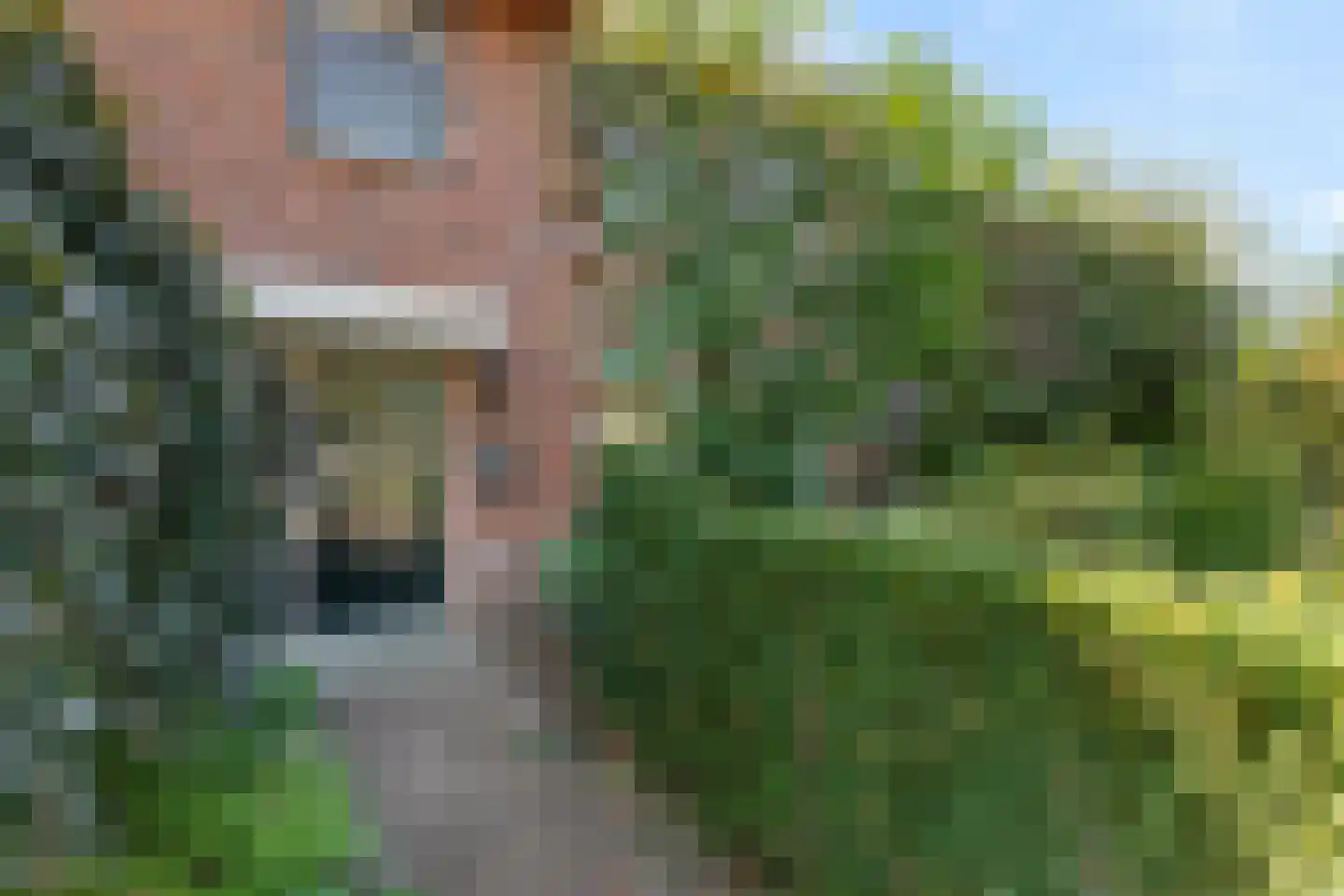Benedendorpsstraat 28 a Zeddam thumbnail 5