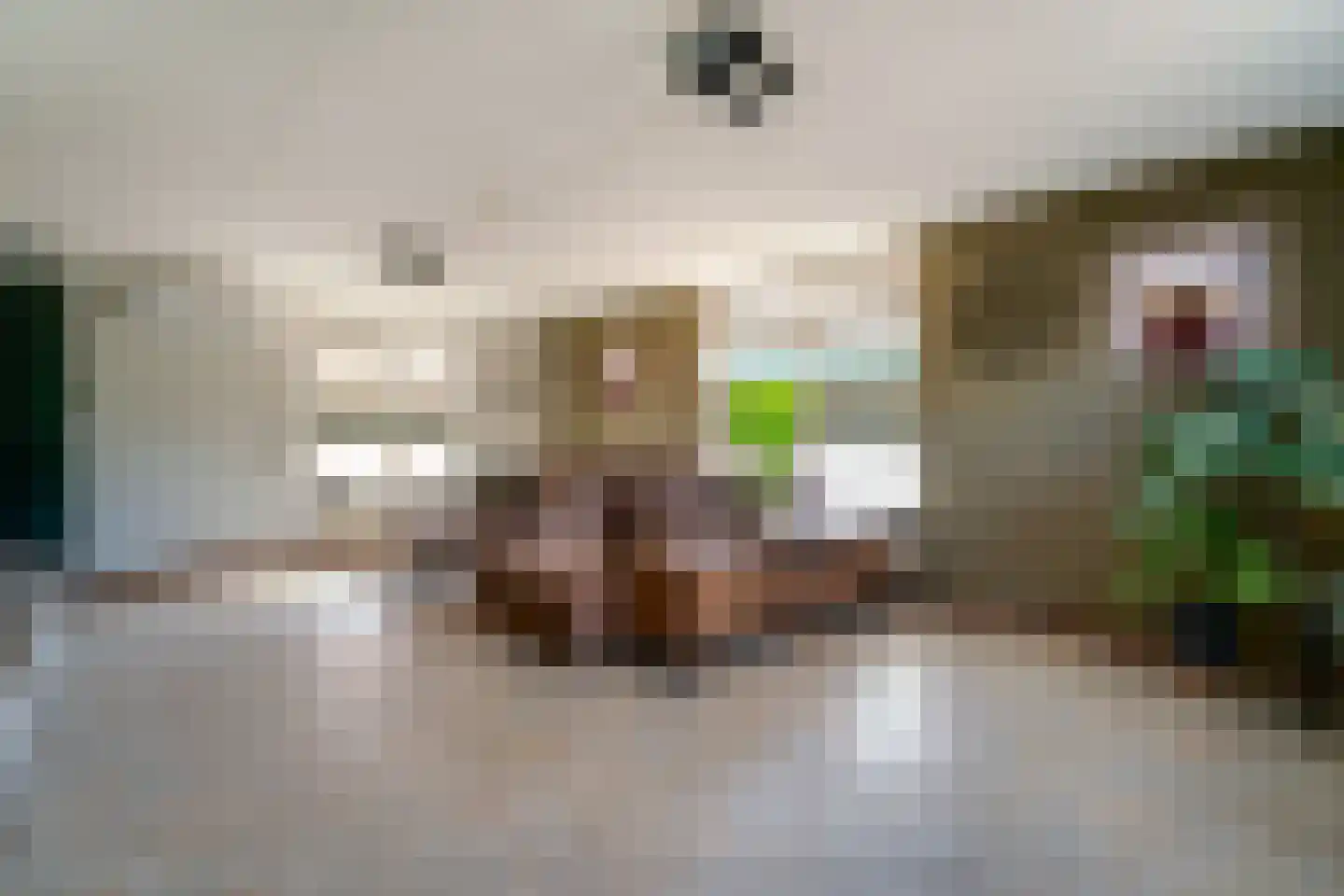 Benedendorpsstraat 33 a Zeddam thumbnail 16