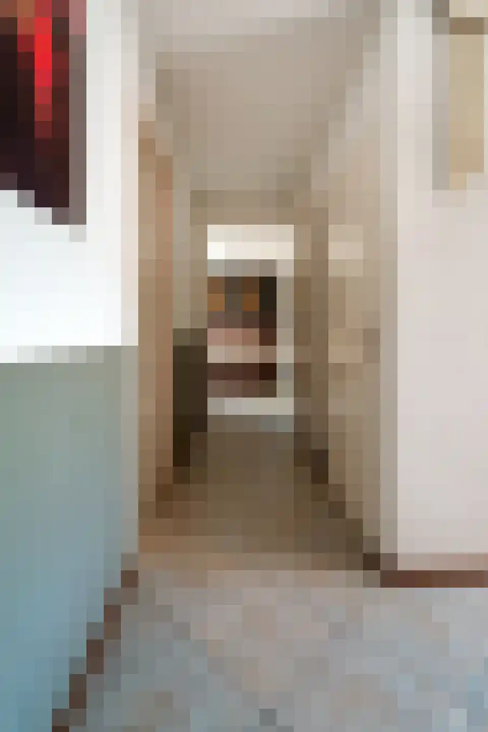 Benedendorpsstraat 33 a Zeddam thumbnail 16