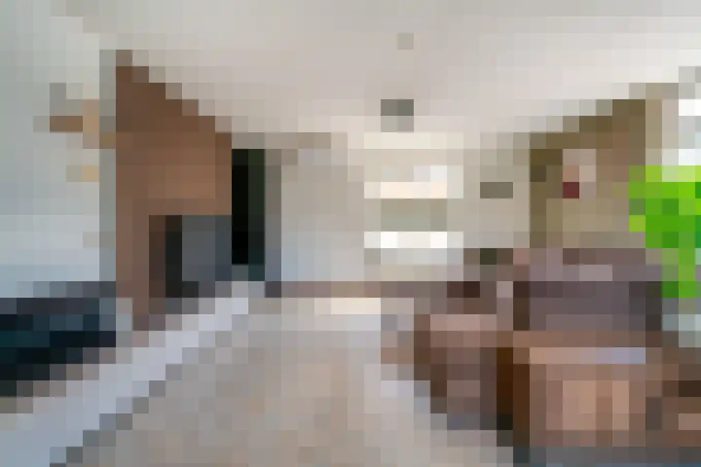 Benedendorpsstraat 33 a Zeddam thumbnail 17