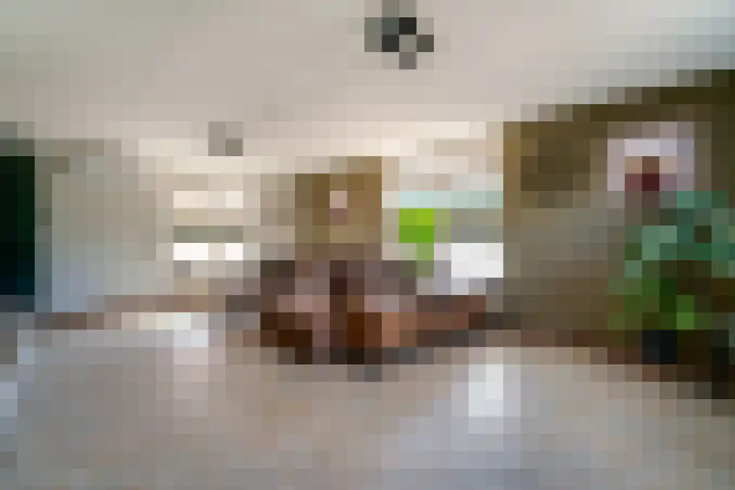 Benedendorpsstraat 33 a Zeddam thumbnail 17