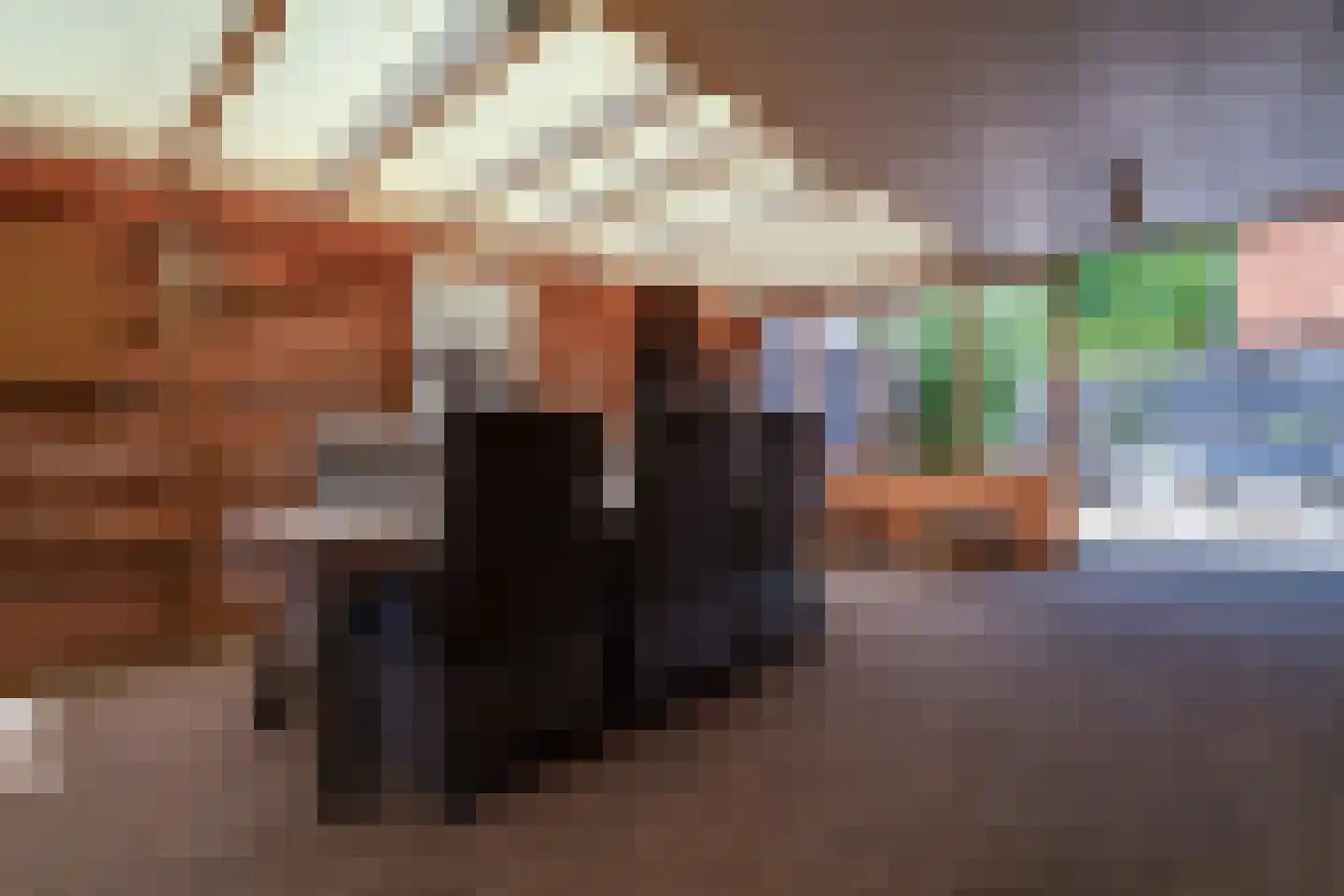 Benedendorpsstraat 33 a Zeddam thumbnail 31