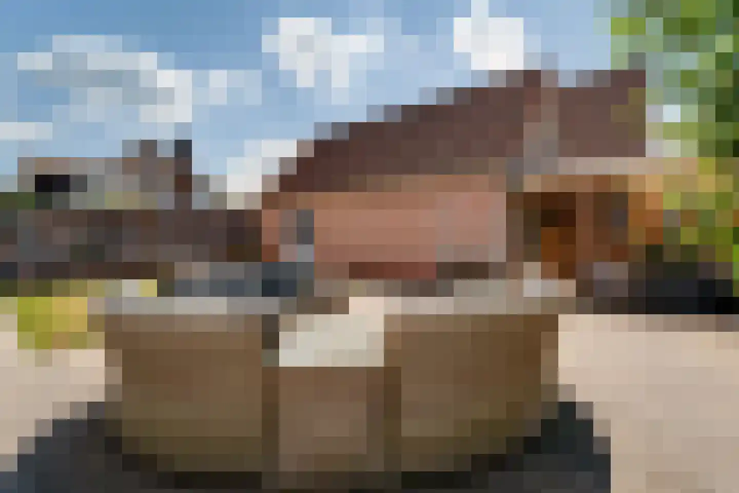 Benedendorpsstraat 33 a Zeddam thumbnail 33