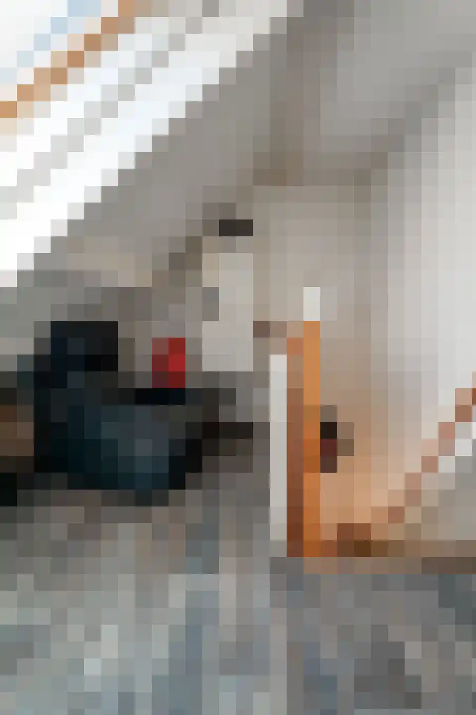 Benedendorpsstraat 33 a Zeddam thumbnail 44