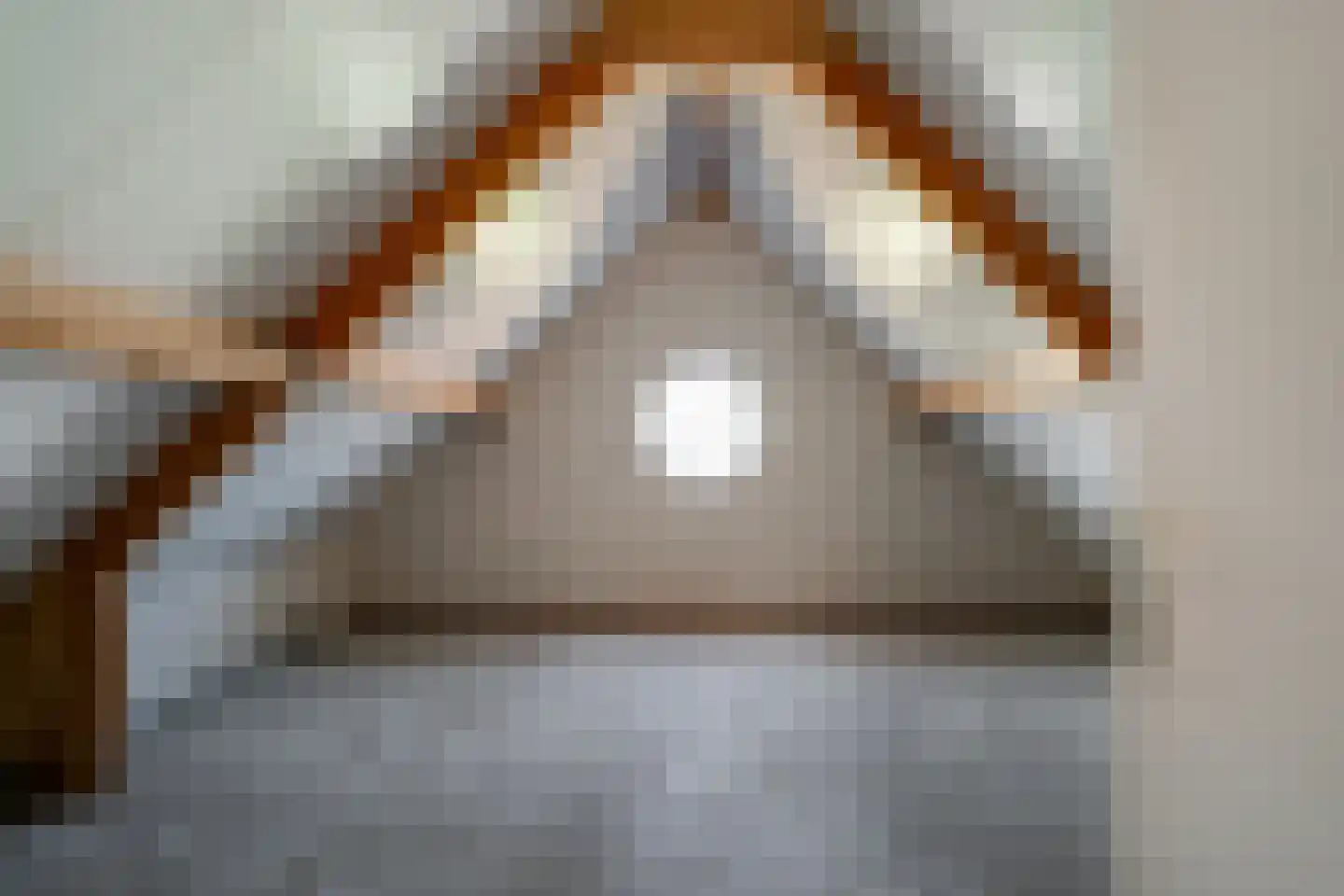 Benedendorpsstraat 33 a Zeddam thumbnail 46