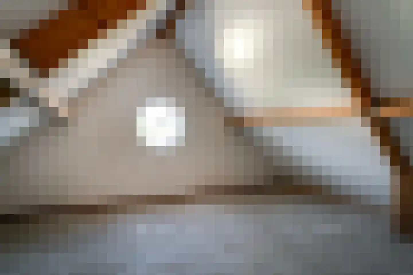 Benedendorpsstraat 33 a Zeddam thumbnail 48