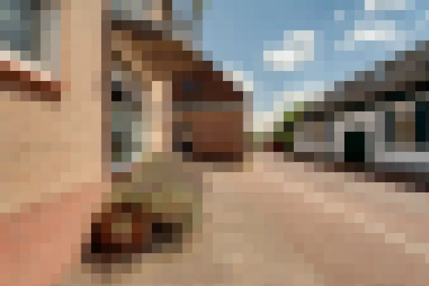 Benedendorpsstraat 33 a Zeddam thumbnail 9
