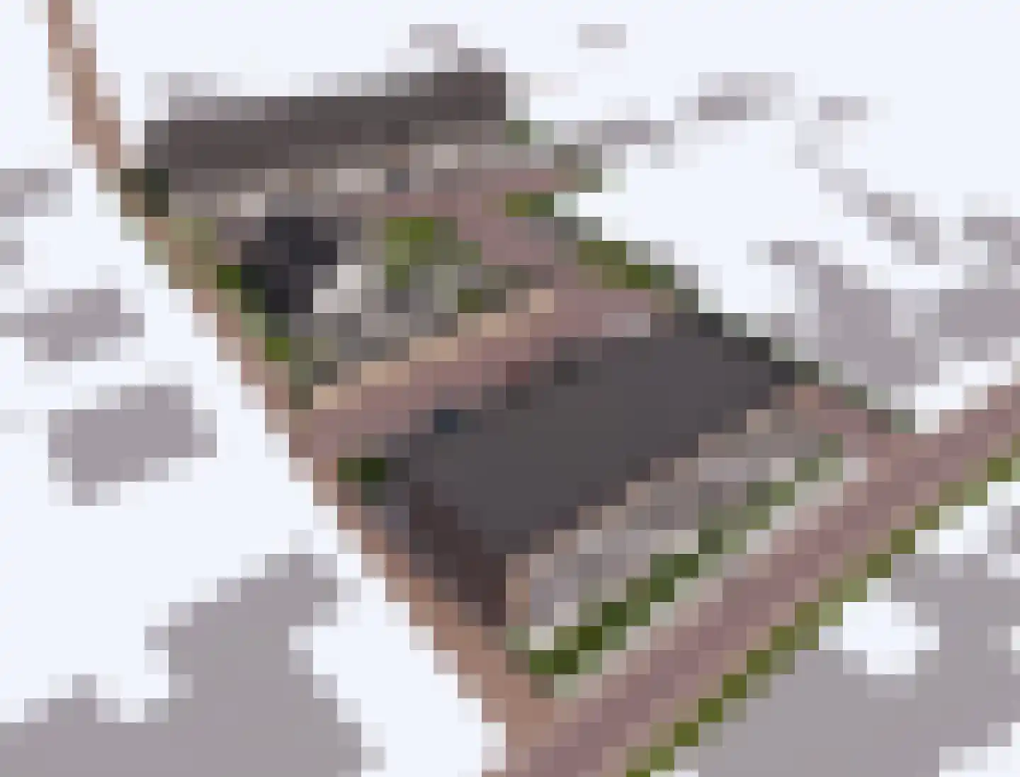 Benedendorpsstraat 7 Zeddam thumbnail 5