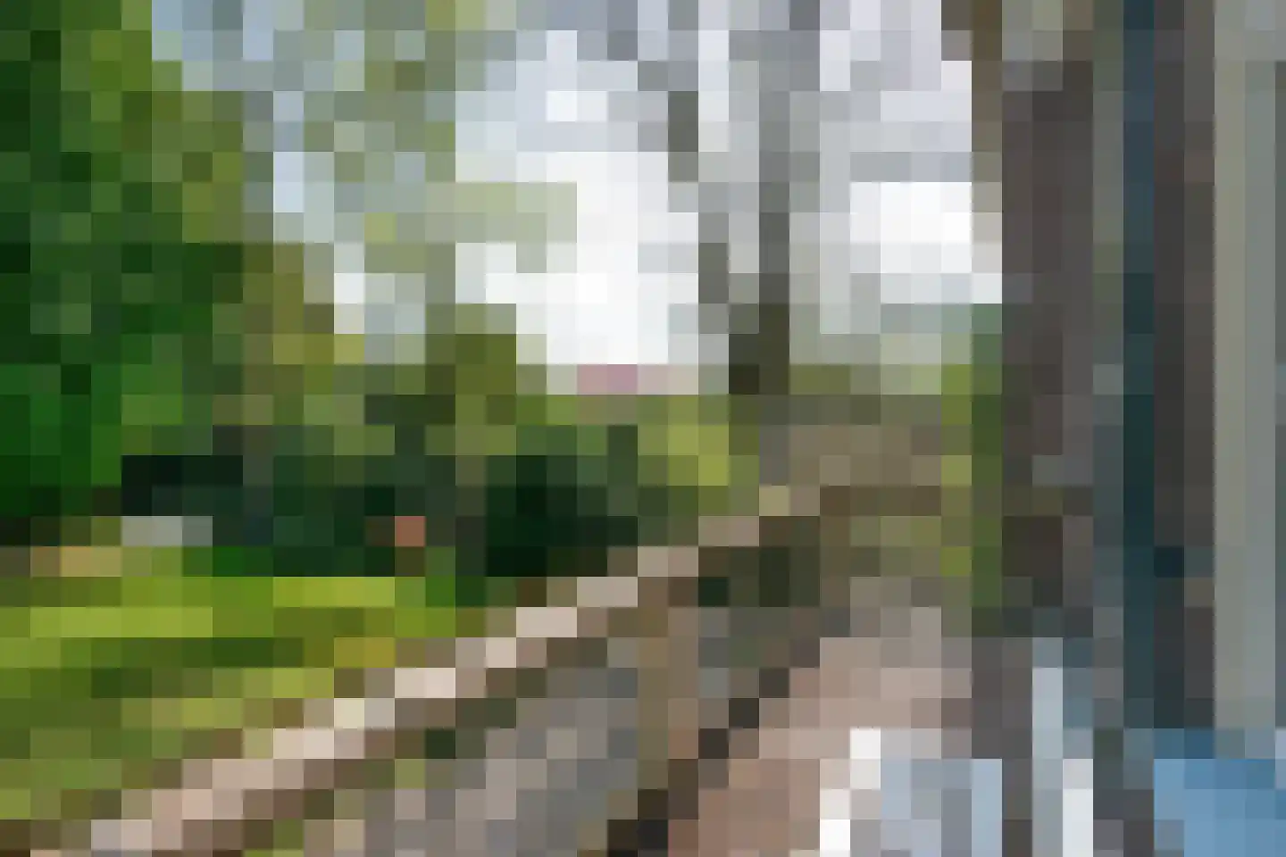 Benedendorpsweg 171 Oosterbeek thumbnail 17