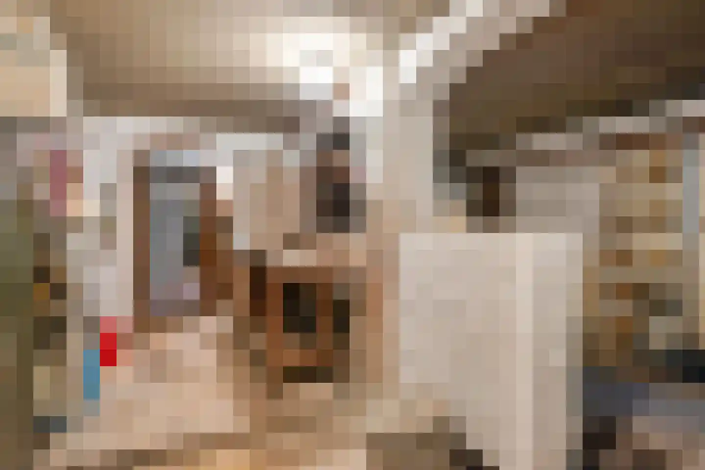 Benedendorpsweg 171 Oosterbeek thumbnail 19