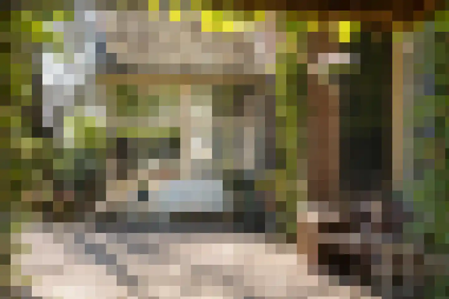 Benedendorpsweg 171 Oosterbeek thumbnail 25