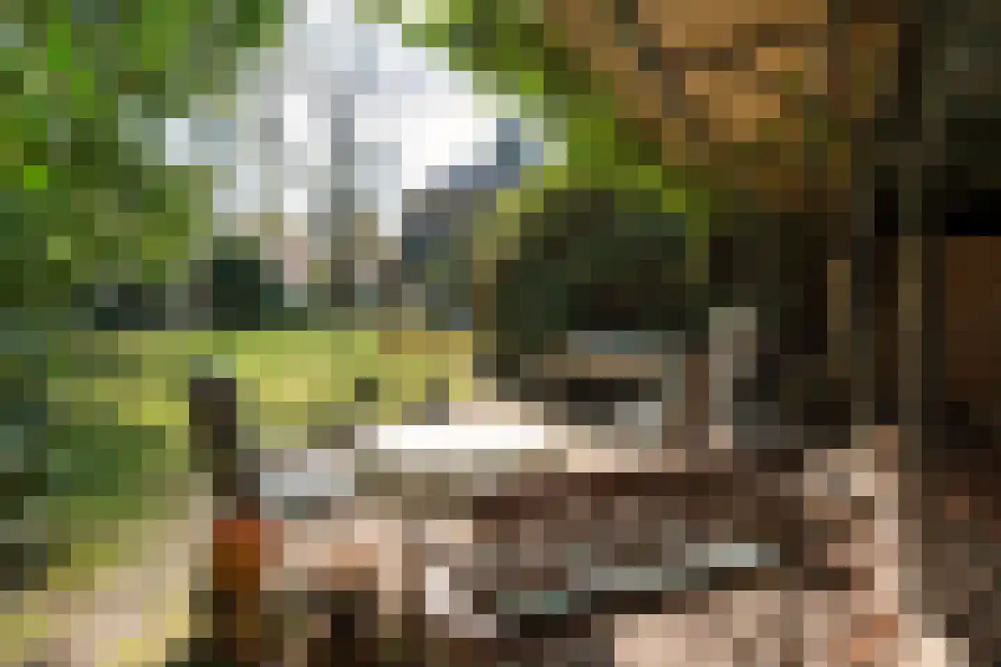 Benedendorpsweg 171 Oosterbeek thumbnail 27