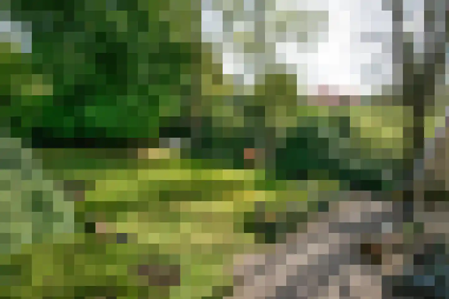 Benedendorpsweg 171 Oosterbeek thumbnail 29