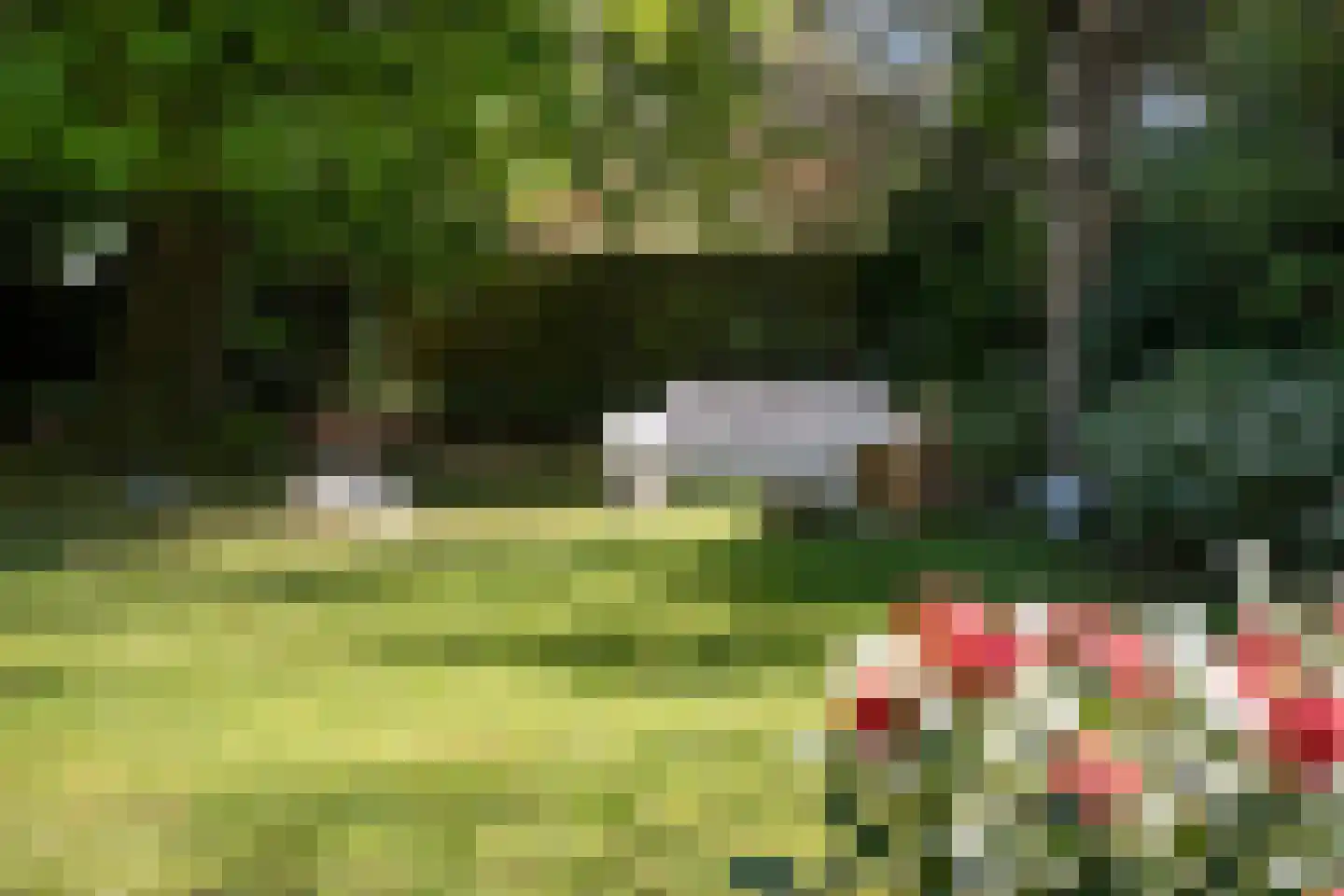 Benedendorpsweg 171 Oosterbeek thumbnail 30