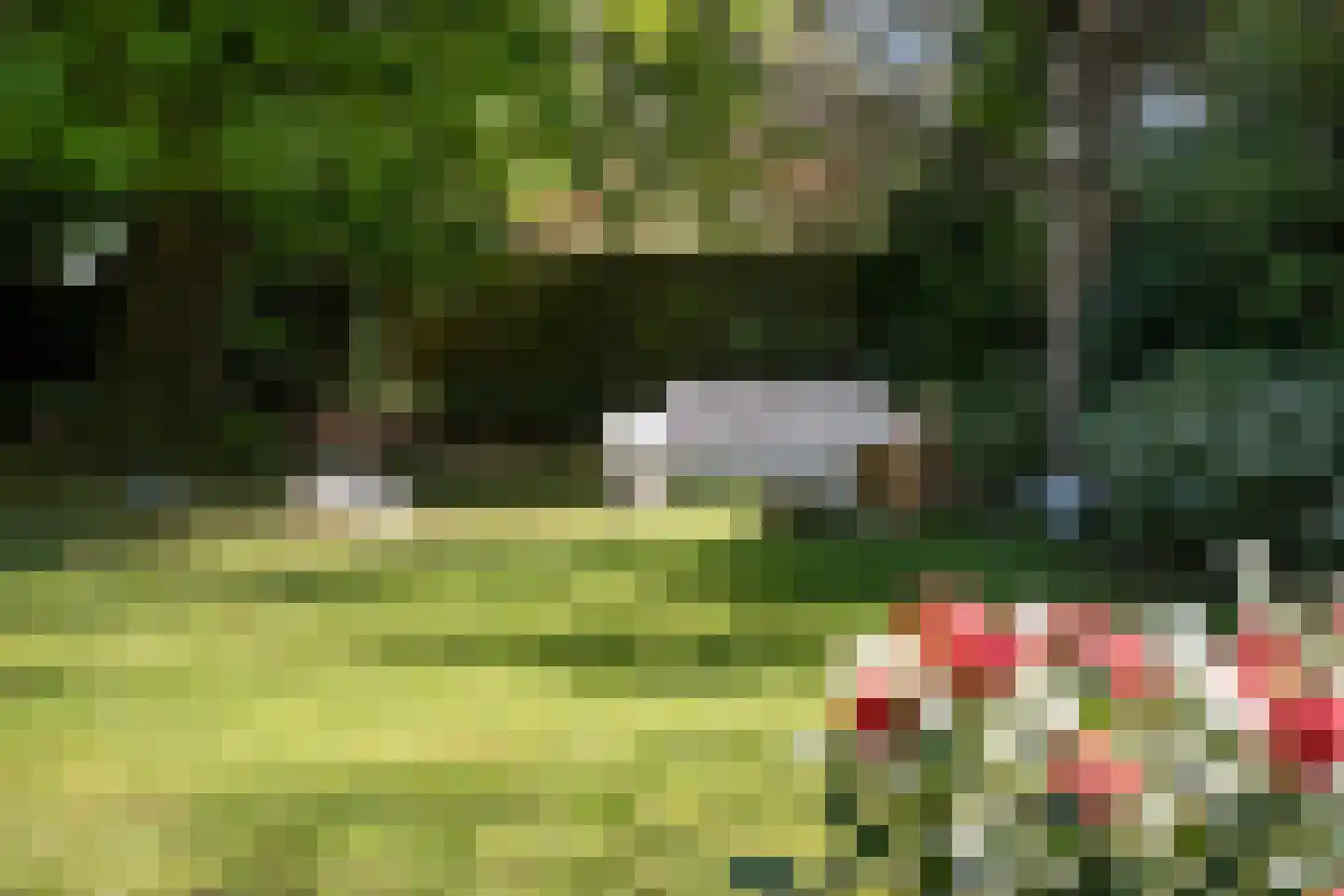 Benedendorpsweg 171 Oosterbeek thumbnail 31