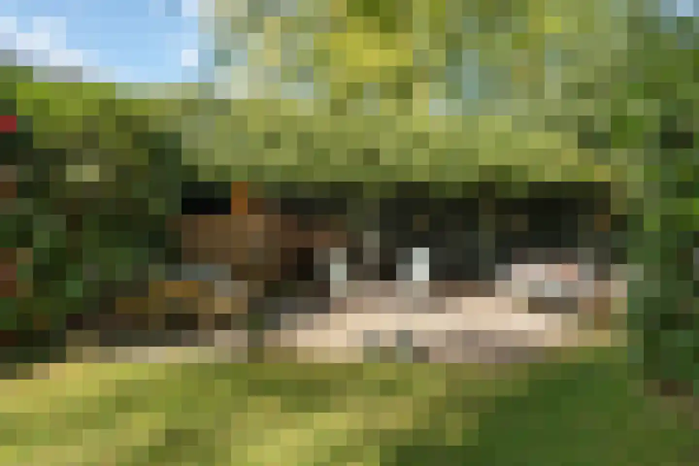 Benedendorpsweg 171 Oosterbeek thumbnail 32