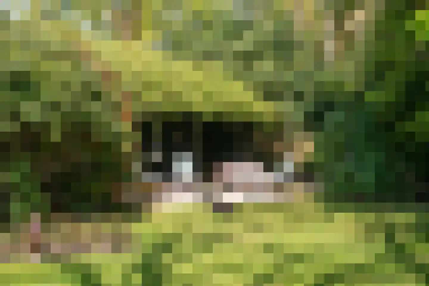 Benedendorpsweg 171 Oosterbeek thumbnail 33