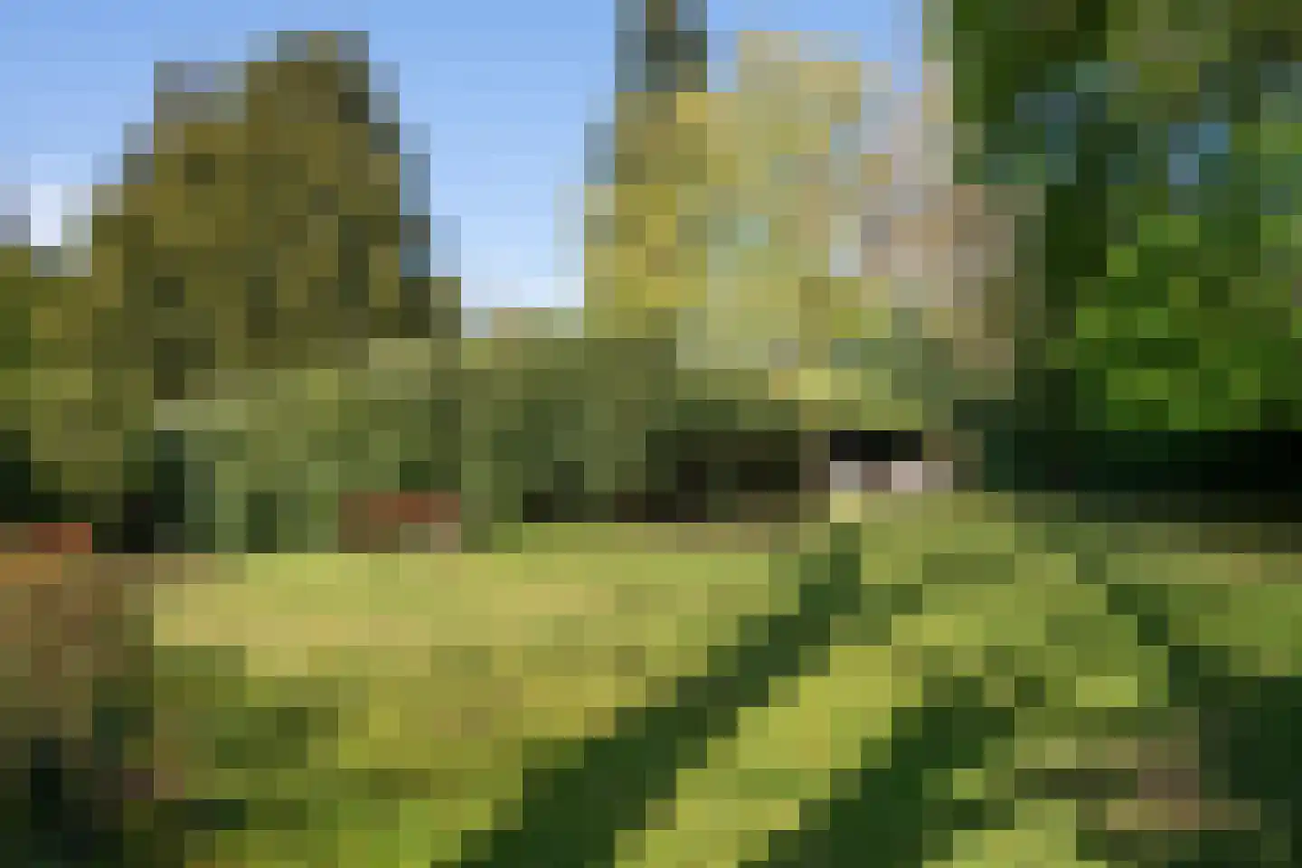 Benedendorpsweg 171 Oosterbeek thumbnail 34