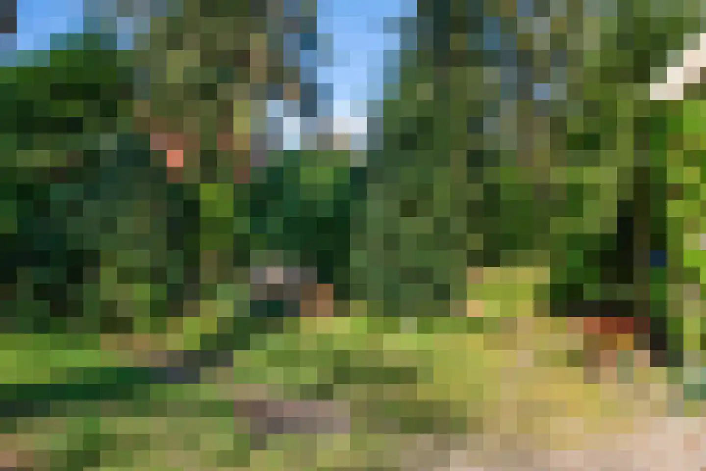 Benedendorpsweg 171 Oosterbeek thumbnail 35