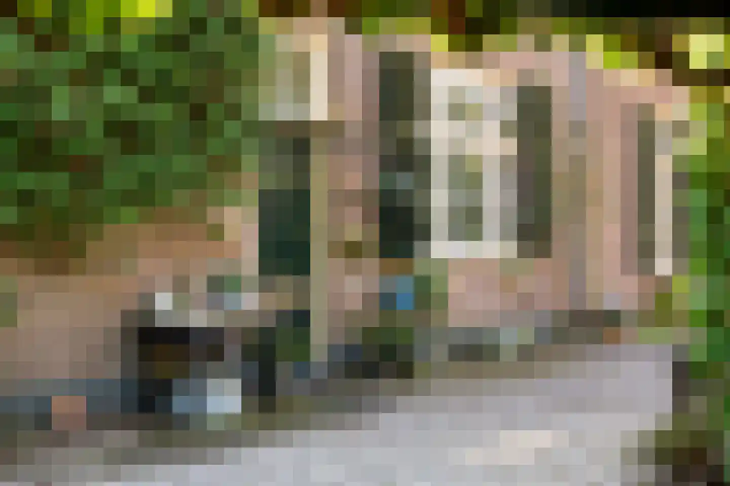 Benedendorpsweg 171 Oosterbeek thumbnail 37