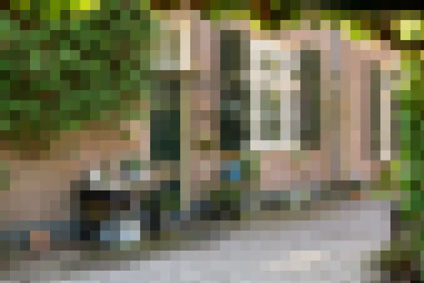 Benedendorpsweg 171 Oosterbeek thumbnail 38