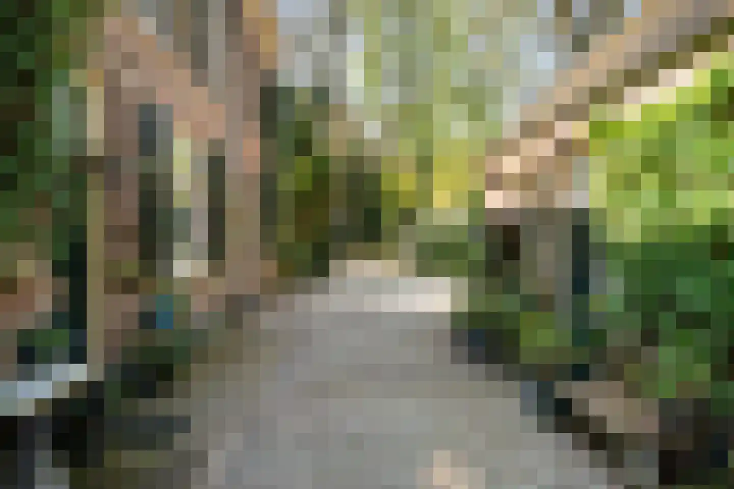 Benedendorpsweg 171 Oosterbeek thumbnail 38