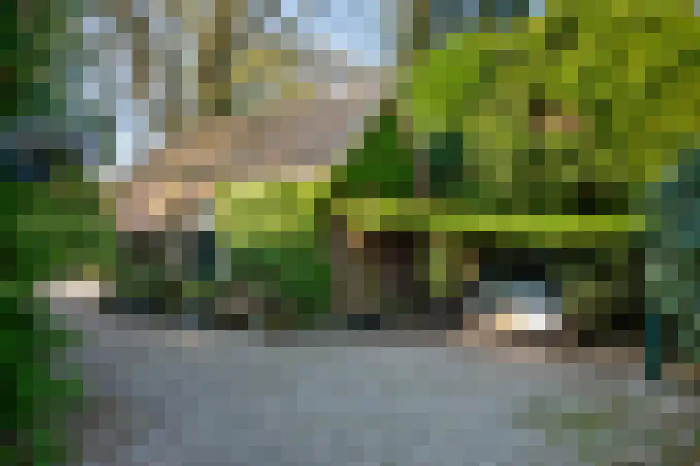 Benedendorpsweg 171 Oosterbeek thumbnail 39