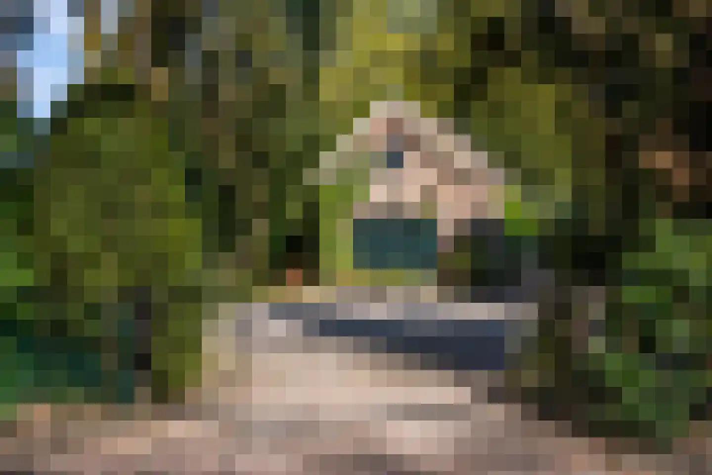 Benedendorpsweg 171 Oosterbeek thumbnail 40